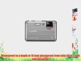 Panasonic Lumix DMC-TS1 12MP Digital Camera with 4.6x Wide Angle MEGA Optical Image Stabilized