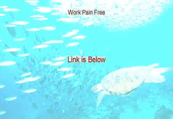 Work Pain Free Reviewed [Watch this 2015]
