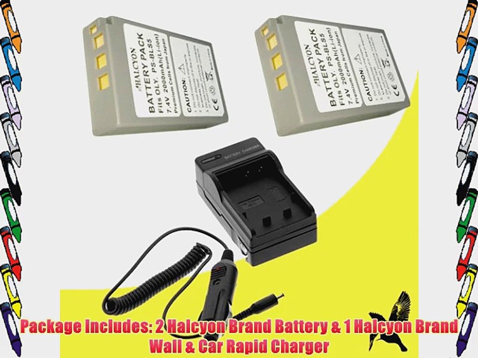 Two Halcyon 2000 mAH Lithium Ion Replacement Battery and Charger Kit for Olympus PEN E-PL5