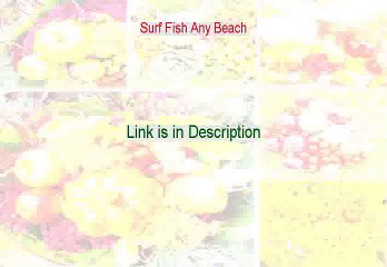 Surf Fish Any Beach PDF (Legit Download)