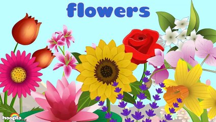 Learn About Flowers  2 - Preschool Activity