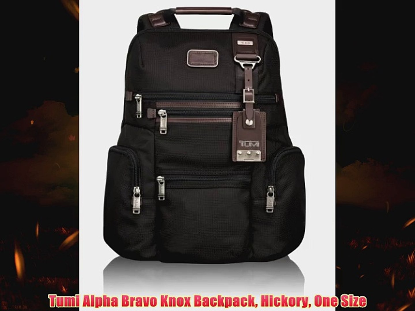 tumi alpha bravo knox