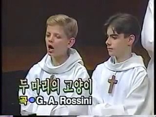 Hilarious Cat Song, hard to control your laugh