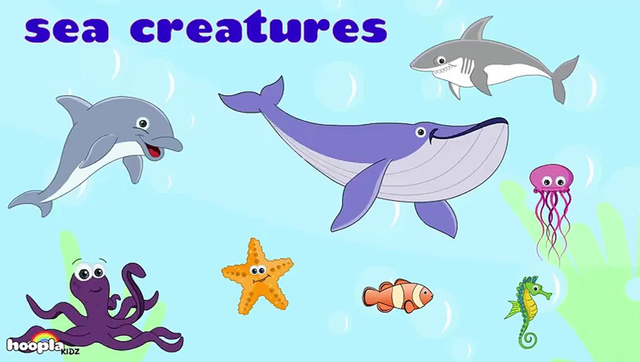 Learn About Sea Creatures - Preschool Activity