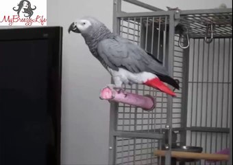 My name is james bond