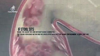 Sitting Toilets Pose a Danger