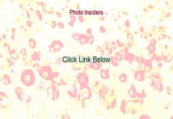 Photo Insiders Free Review (Watch this)
