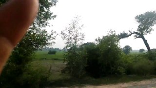 Nature is everything...amazing way to village Part1