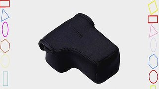 LensCoat LCBBCLBK BodyBag Compact with Lens (Black)