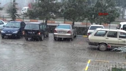 Simav - Çiçek Açan Ağaçlar Karla Kaplandı