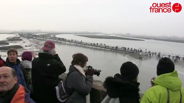 La marée du siècle au Mont Saint-Michel