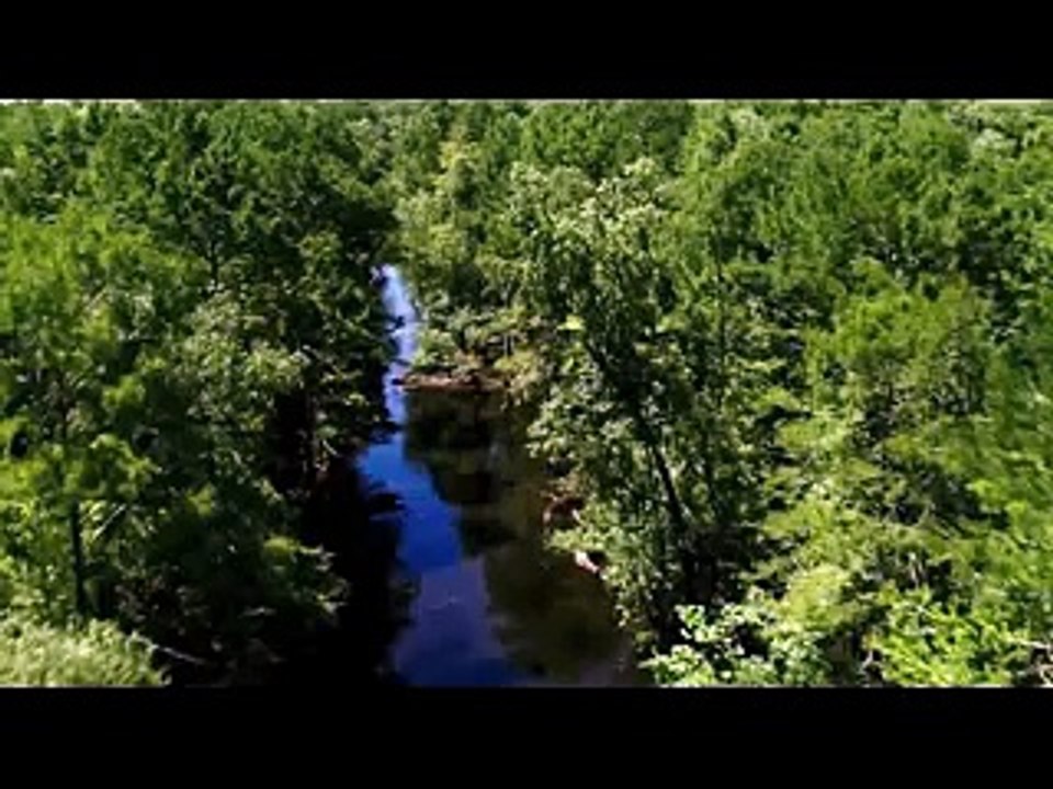 Zombeavers