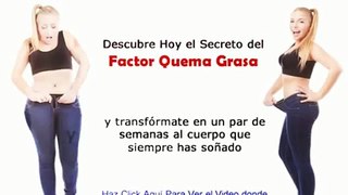 Descarga El Factor Quema Grasa Gratis Completo 2014