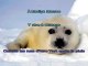 KARAOKE BEAU DOMMAGE - La complainte du phoque en Alaska