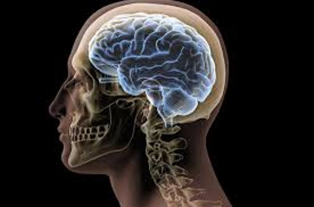 Los graves daños del azúcar en nuestro cerebro