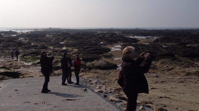 Les amateurs de la pêche à pied se retrouvent à Mousterlin