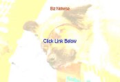 Biz Netwise Reviews [Hear my Review 2015]