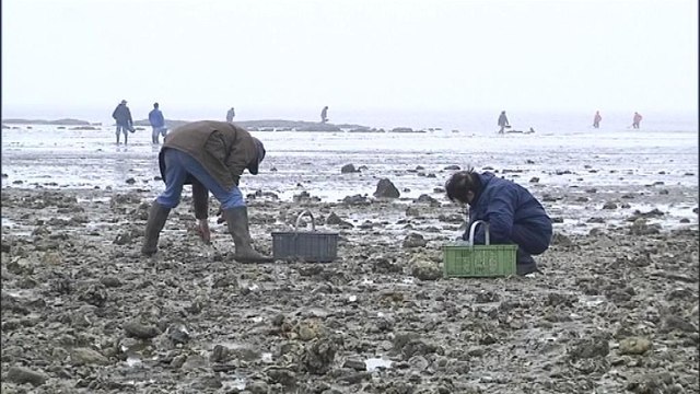 Marée du siècle à la Bernerie en Retz: des curieux à l’assaut des côtes