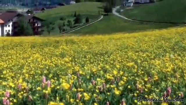 teray rang rang-Abrar Ul Haq