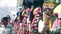 BSF Camel Safari in Amritsar celebrating its Golden Jubilee