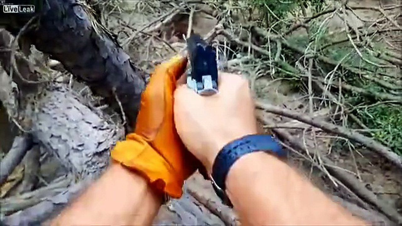 hunter hunting