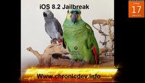 Unlock/Jailbreak iOS 8.2 Apple Devices iPhone 6/5S/5C/5/4S/4 iPad Mini/5/4/3/2 & iPod Touch 5/4/3