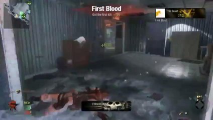 THG Beast _ Killing entire enemy team in under  - S'n'D