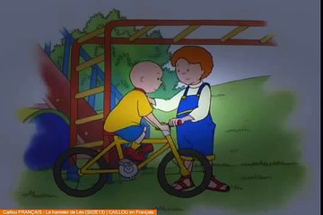 Caillou FRANÇAIS - Le hamster de Léo (S02E13) | CAILLOU en Français