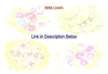 Betta Lovers Reviews [Watch this 2015]