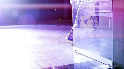 Soy el mejor Vip - Jackie Gaete