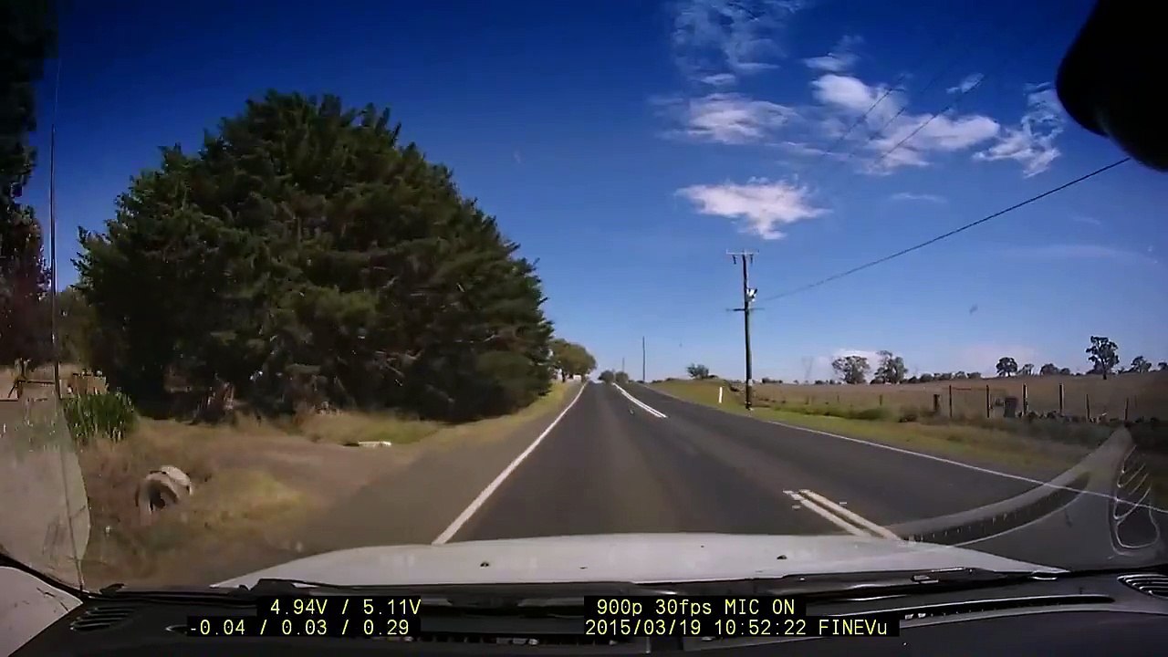 Traversée d'animaux en Australie