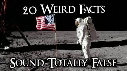 List of 20 Weird Facts Will Sound Totally False, But They're Not