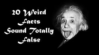 OMG Fact files | Random Weird Facts