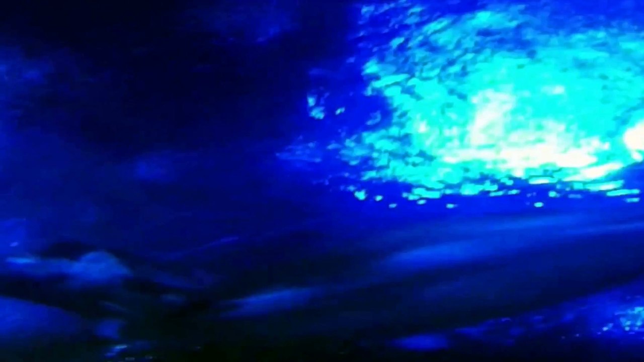 Underwater World Part 17
