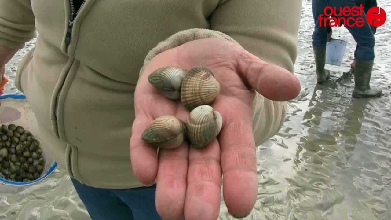 La grande pêche lors de la marée du siècle