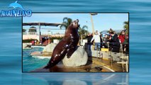 02/01/2015 Une journée au Marineland d'Antibes