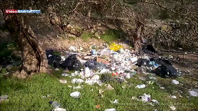 I ragazzi del Collettivo Entropìa ripuliscono l'area antistante il cimitero di Andria, ecco cosa hanno trovato