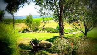 Romantic accommodation victoria | Bed and breakfast bairnsdale