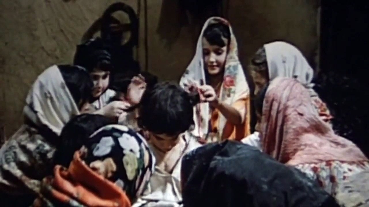 Lautarii [1973]