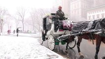 Nova York e nordeste dos EUA sob a neve