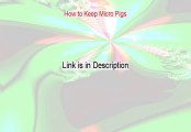 How to Keep Micro Pigs Free Download - Download Now