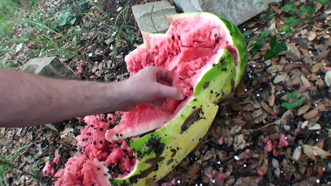 Airsoft BBs in a Real Shotgun!