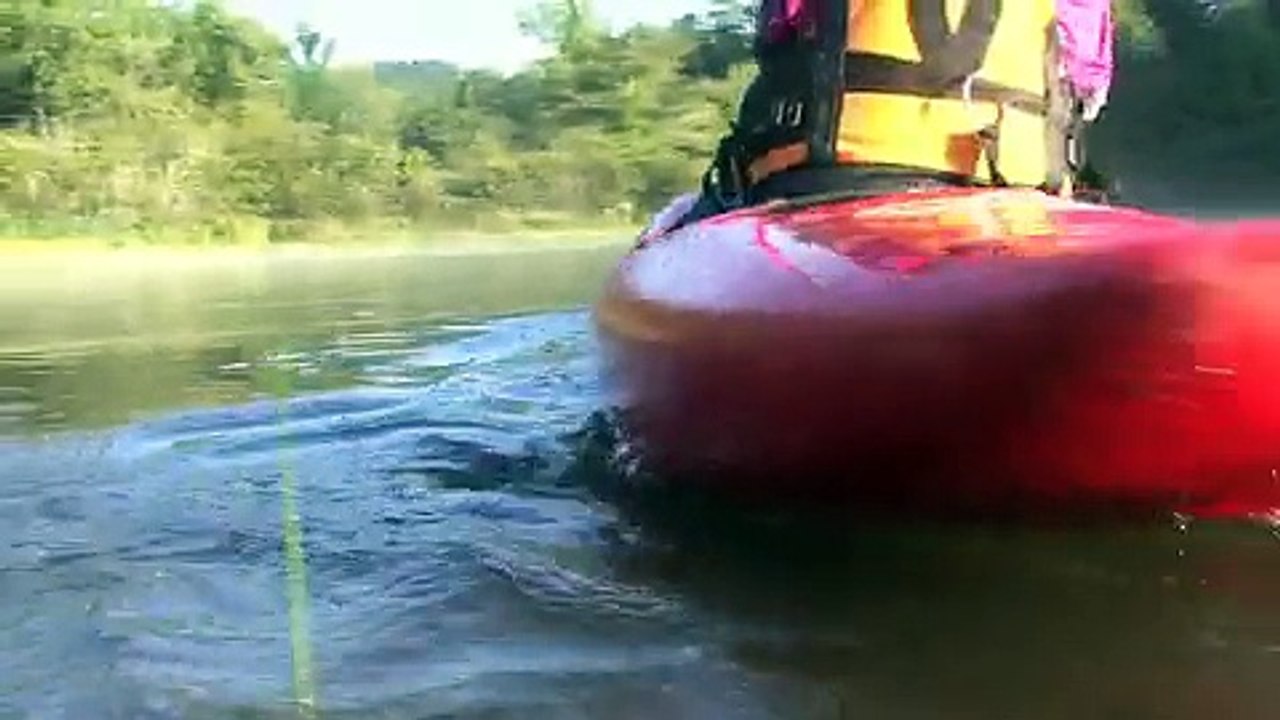 Whitewater Kayaking Essential Strokes and Edge Control