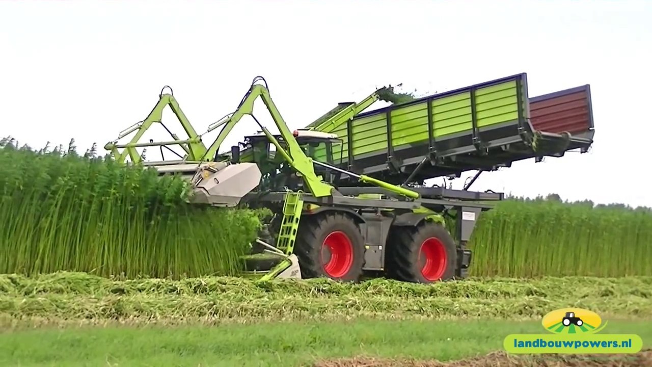 Hemp mowing with converted Claas Xerion 4000