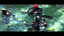 Technical Diving Training; Basic Cave Diving