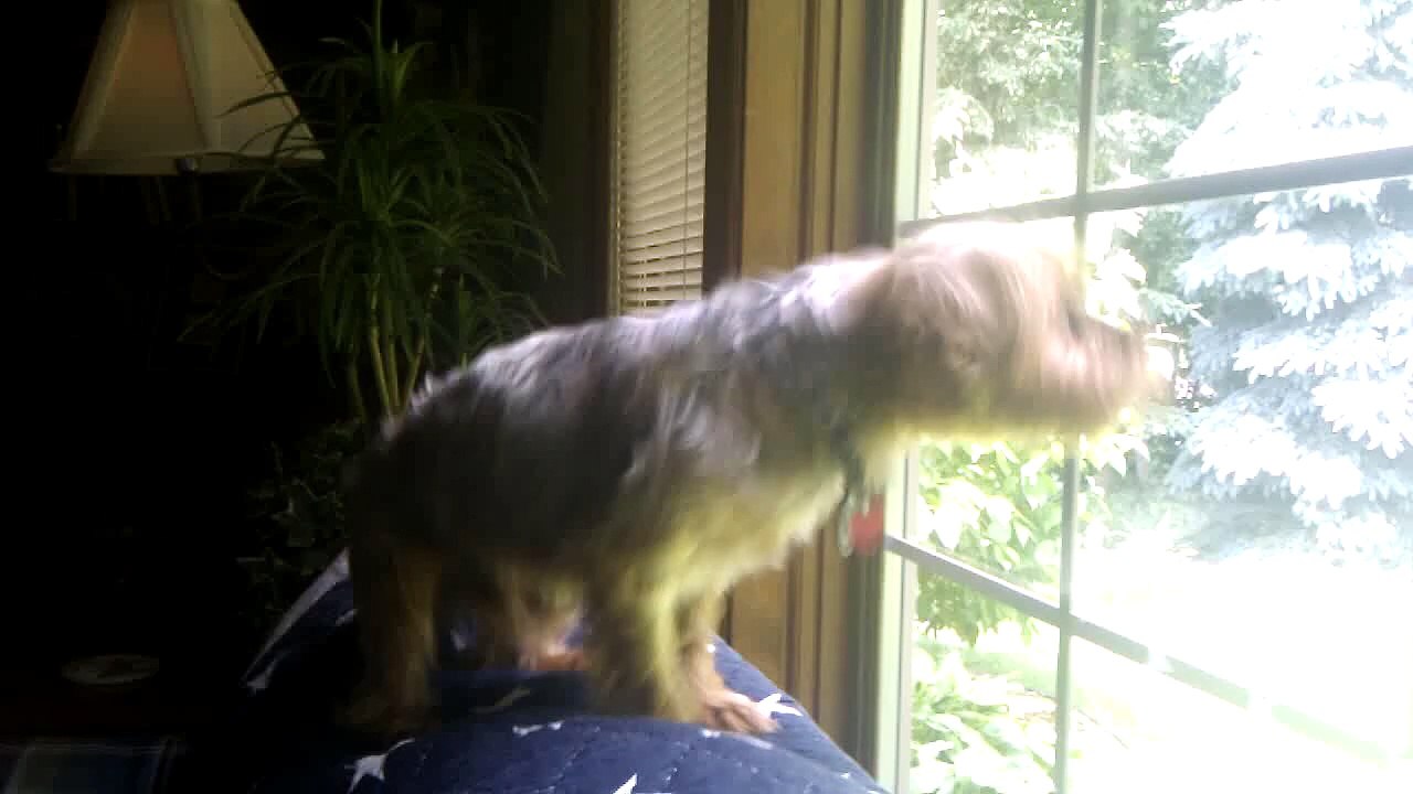 PALMER!!!