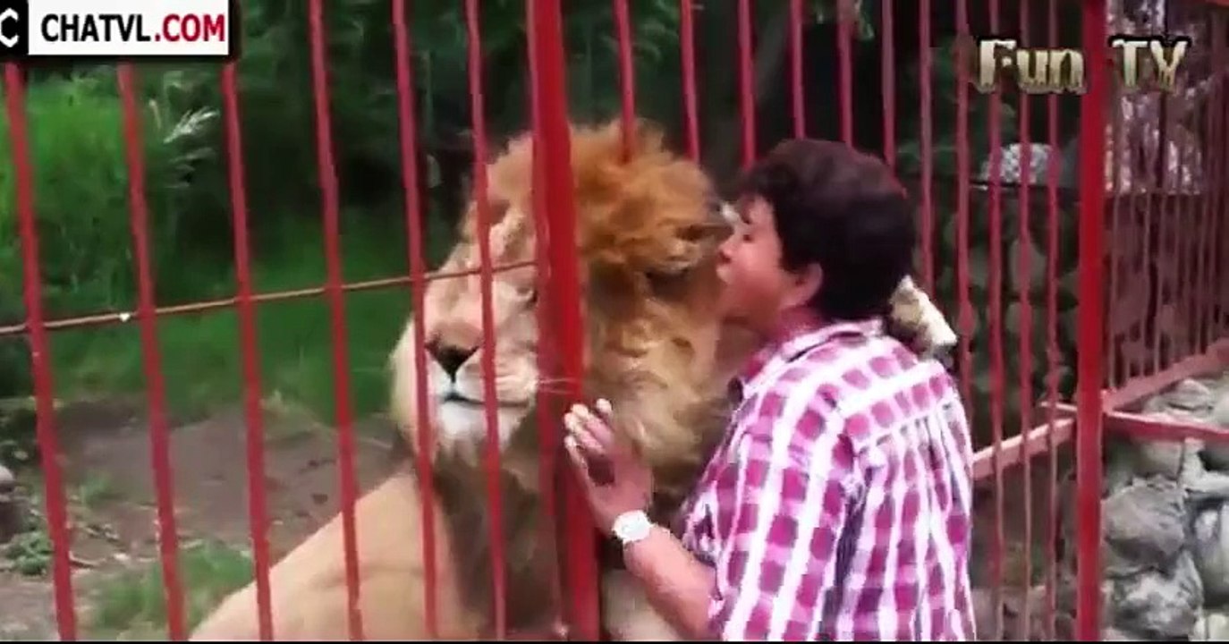 Funny Videos Funny Animal Best compilation 2015