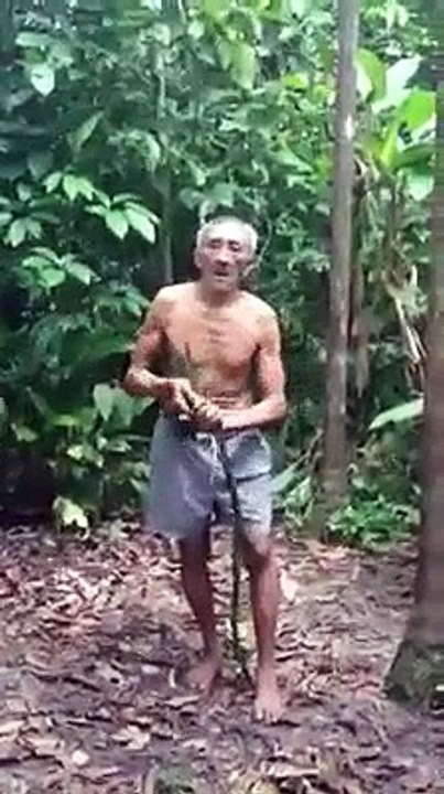 climbing on tree