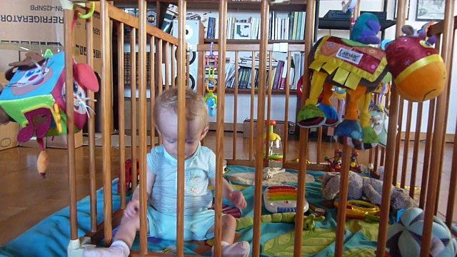 21 03 2015 Soliman debout dans son parc