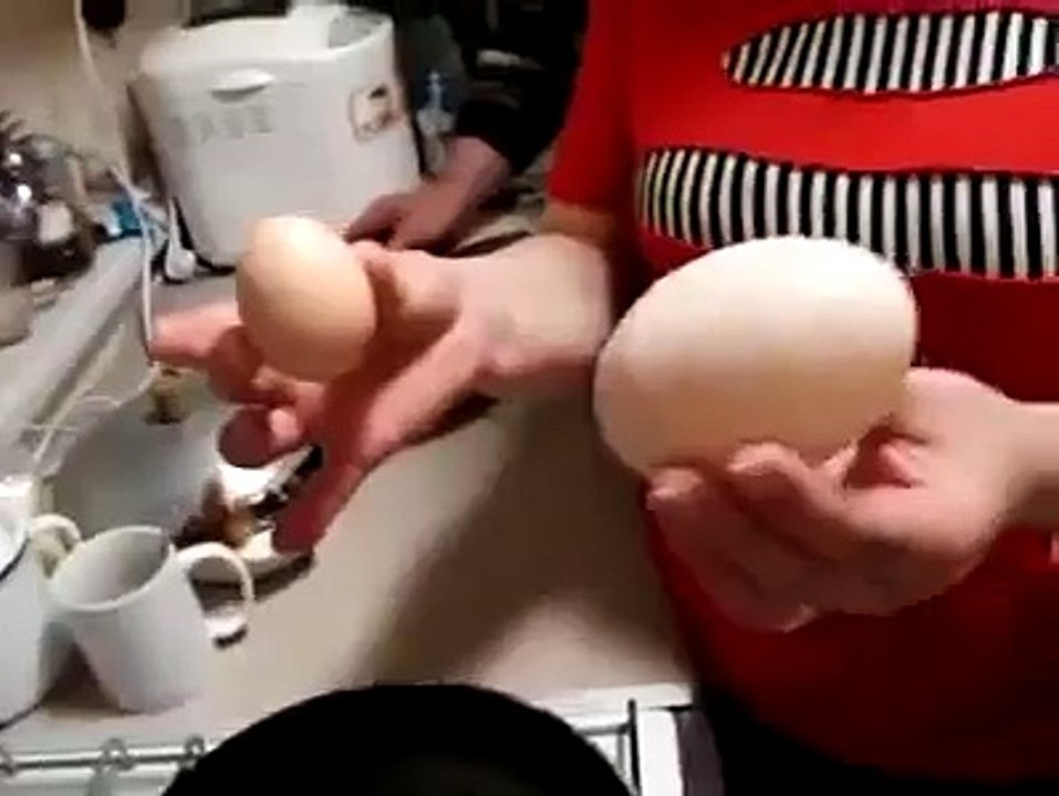 Surprise ! des oeufs doubles ...